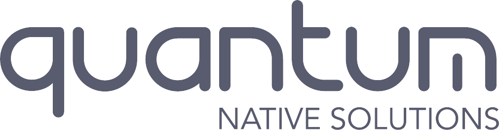 Quantum native solutions